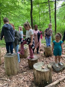 Students on stumps in the community forest
