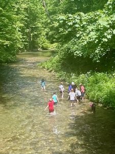 Students in the creek in the community forest