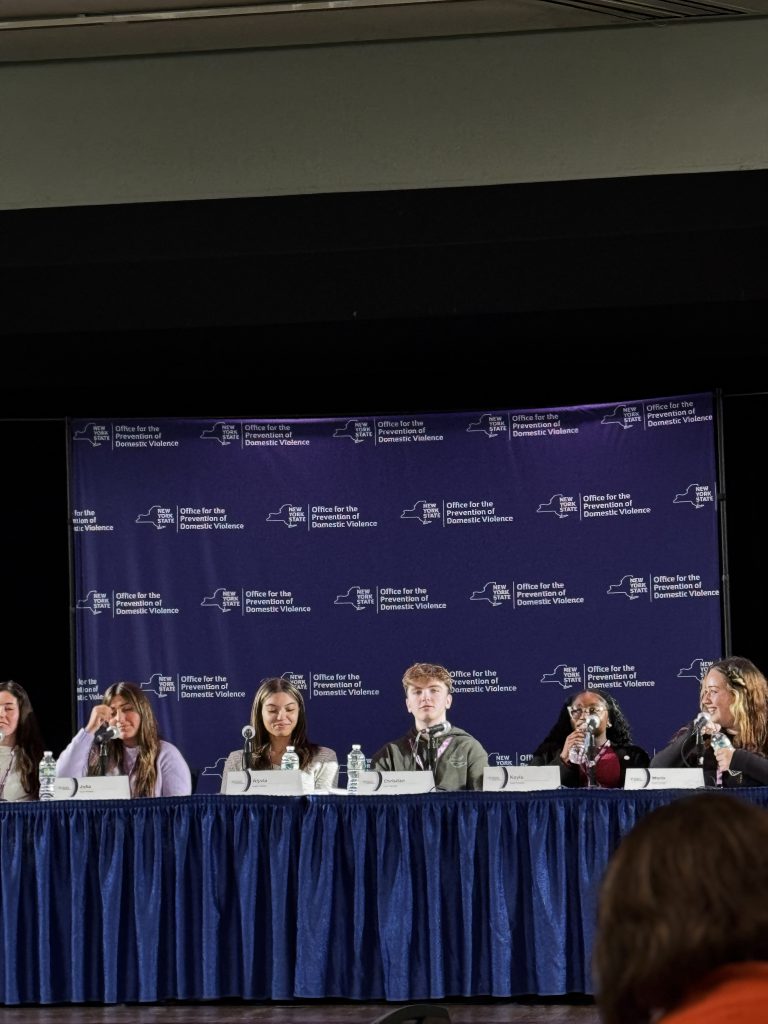 Hoholik and Carr sitting on the Domestic Violence technology panel